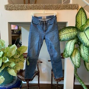 Everlane High Rise Skinny Jeans